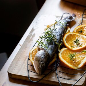 gegrillte Lachsforelle mit Orangenblütenhonig